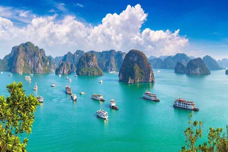Tuan Chau Island - One of the beautiful islands of Ha Long Bay that attracts many tourists